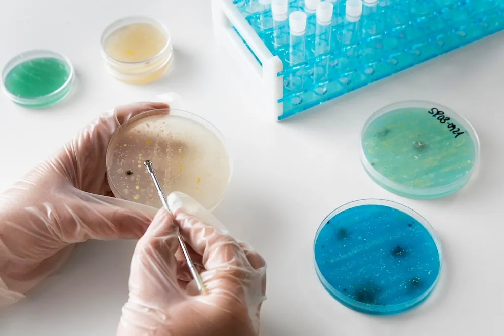 Read more about the article How PBS Prevents Cell Stress in Mammalian Cultures?